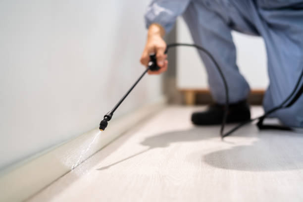 Licensed Termite Control service in Standish, MI - Show Me Pest Control